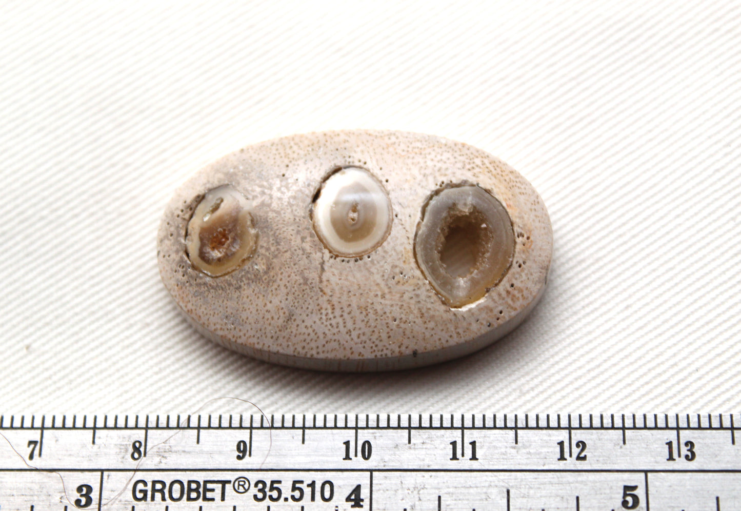 Worm Hole Petrified Wood Cabochon gemstone natural Oval