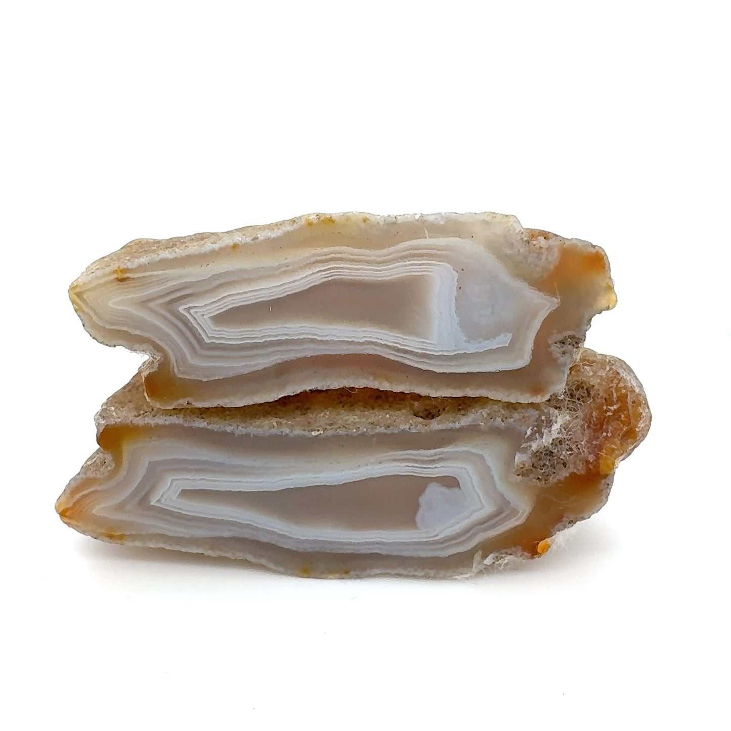 Indonesian Agate nodule polished white Banding