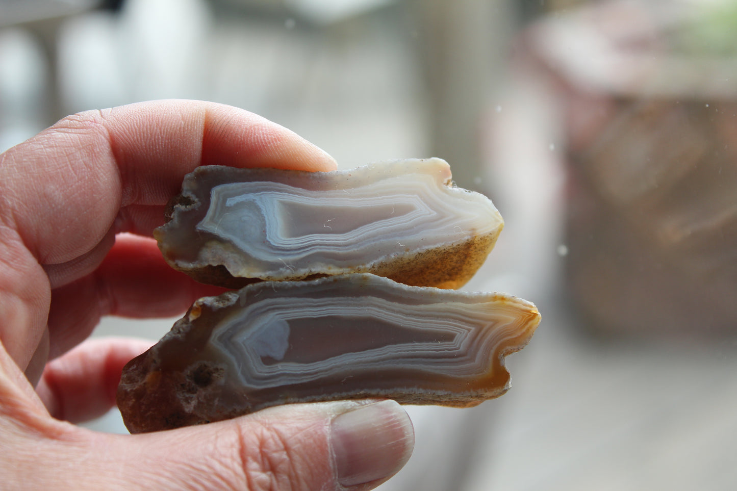 Indonesian Agate nodule polished white Banding