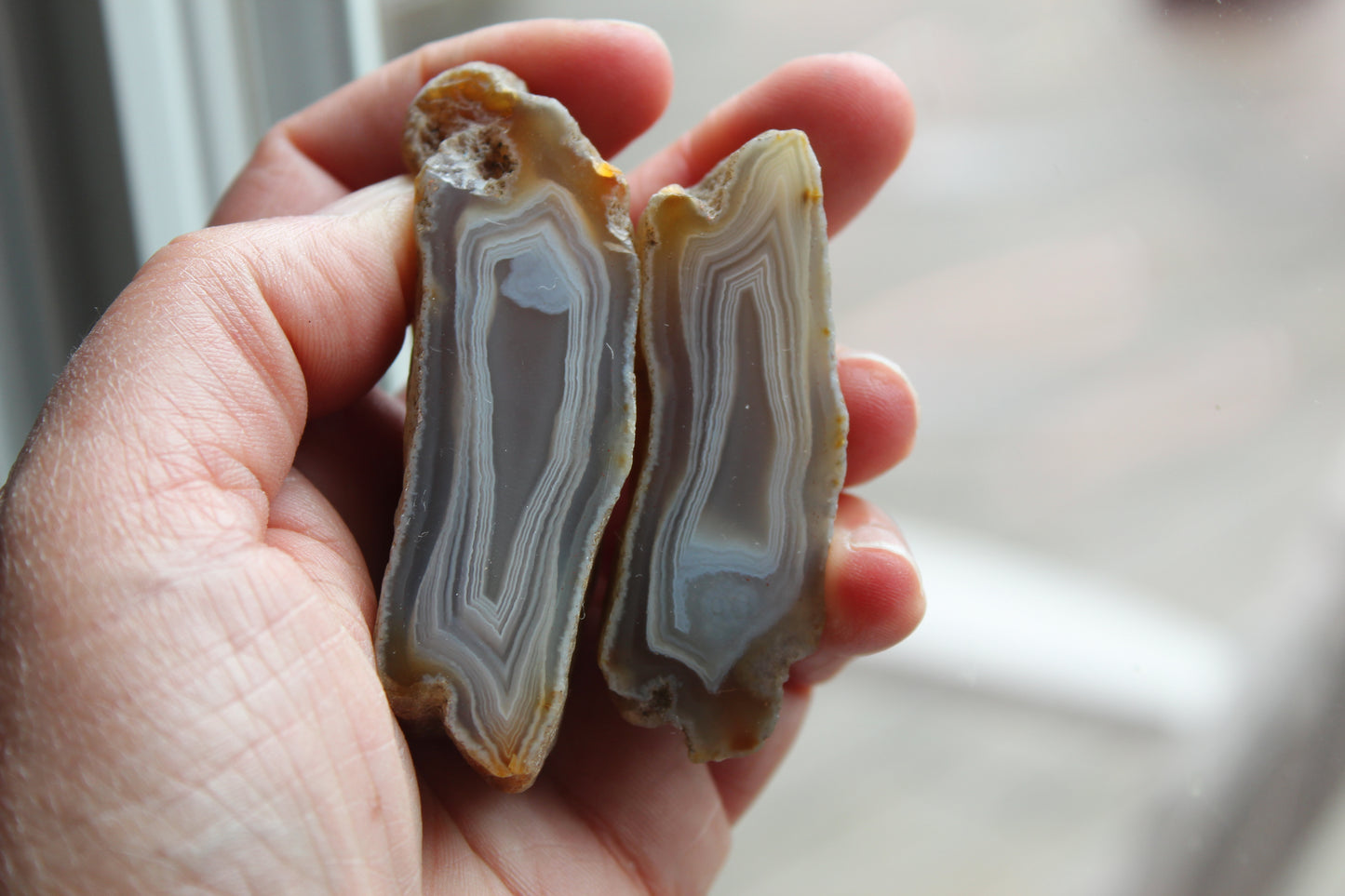 Indonesian Agate nodule polished white Banding