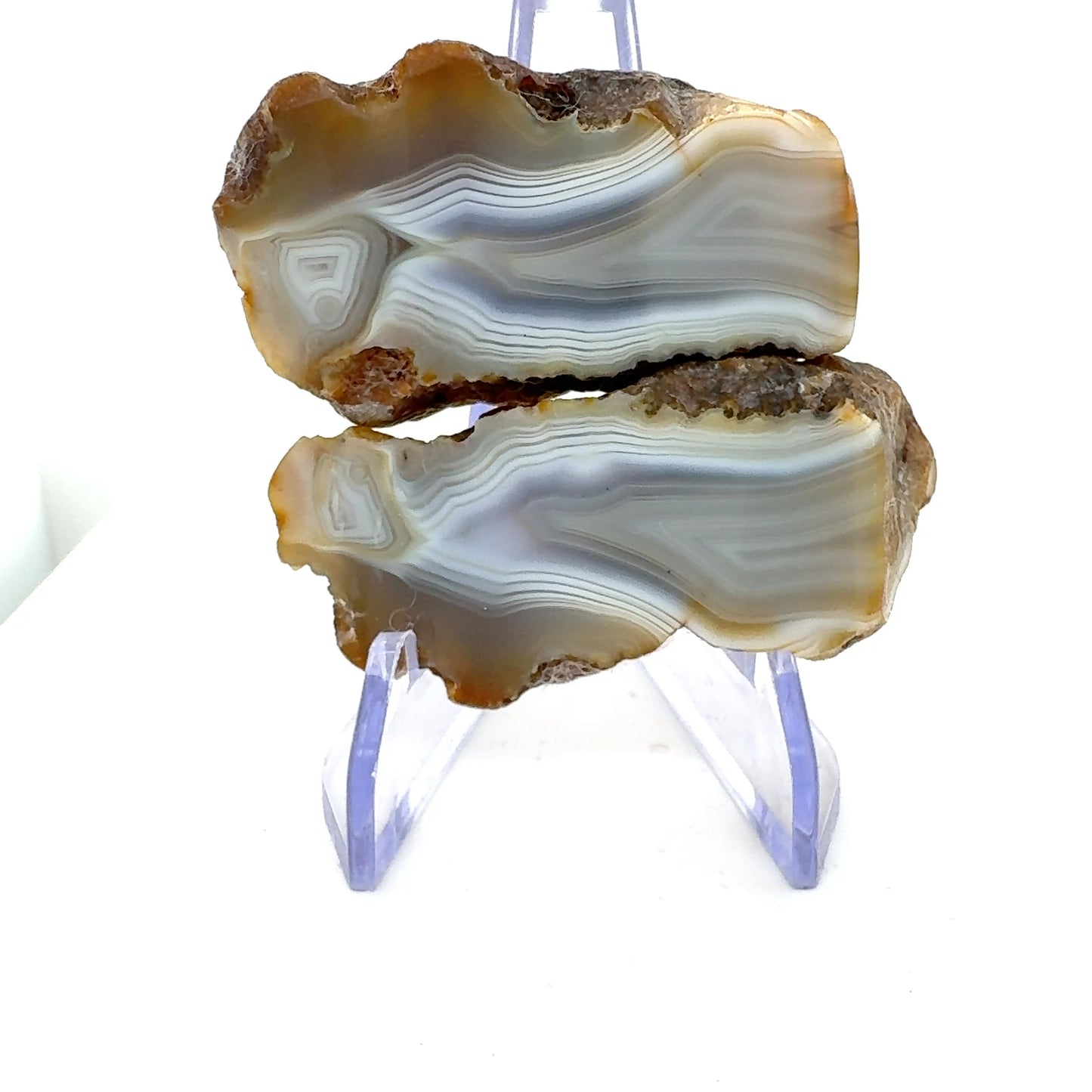 Indonesian Agate nodule polished