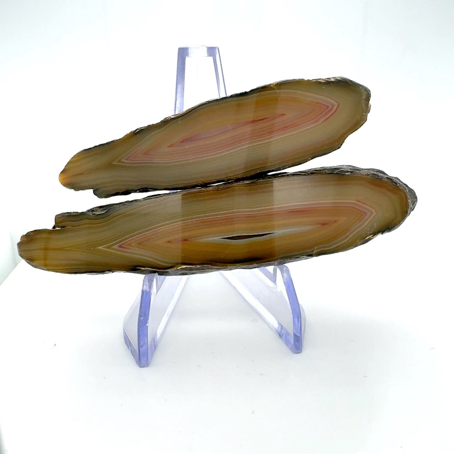 Indonesian Agate nodule polished pink Banding