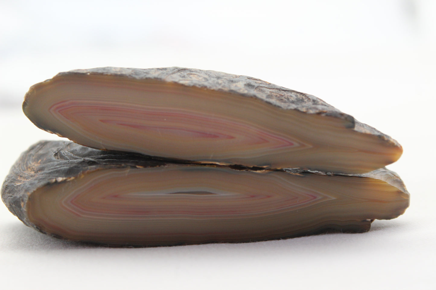 Indonesian Agate nodule polished pink Banding