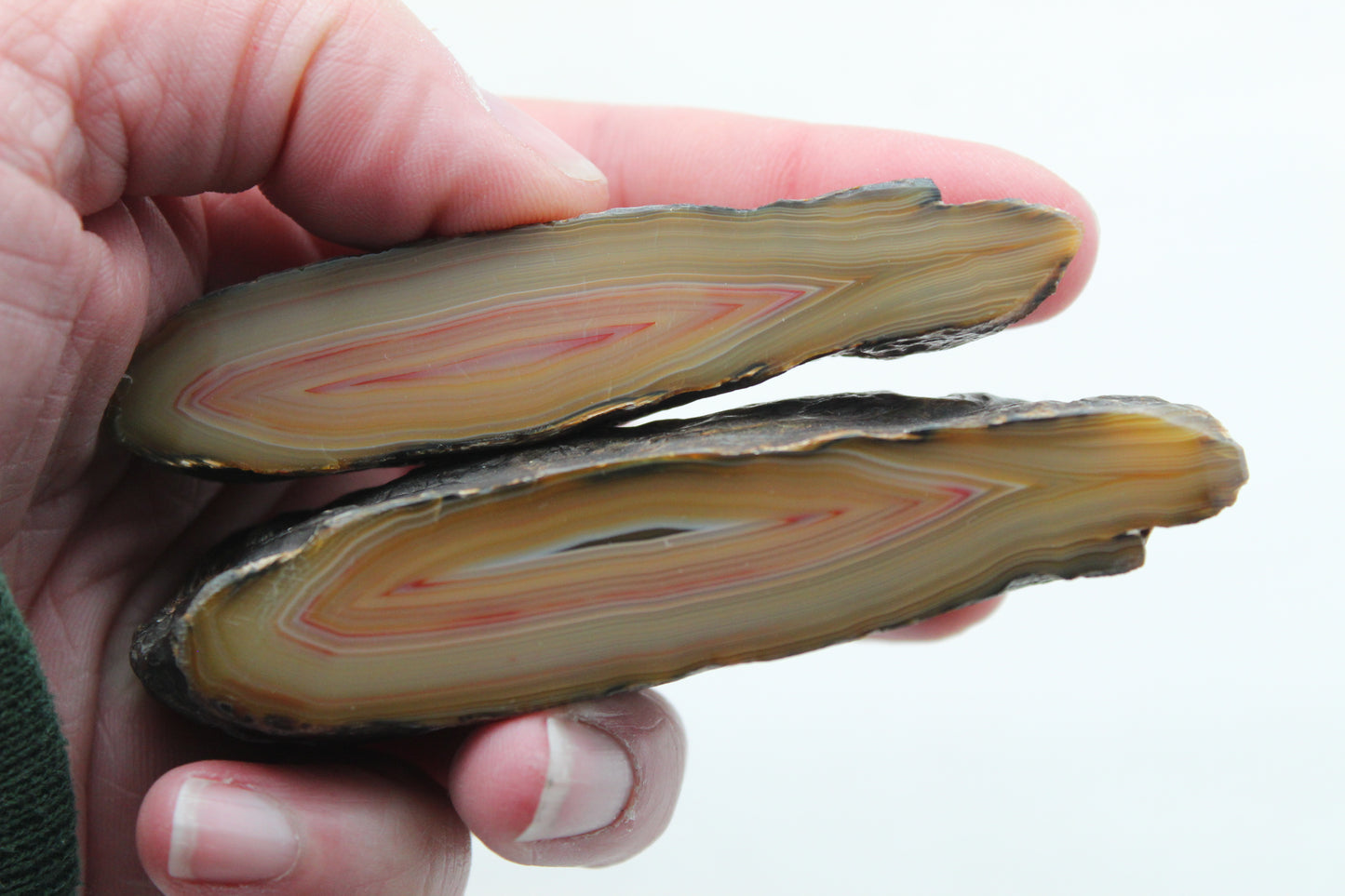 Indonesian Agate nodule polished pink Banding