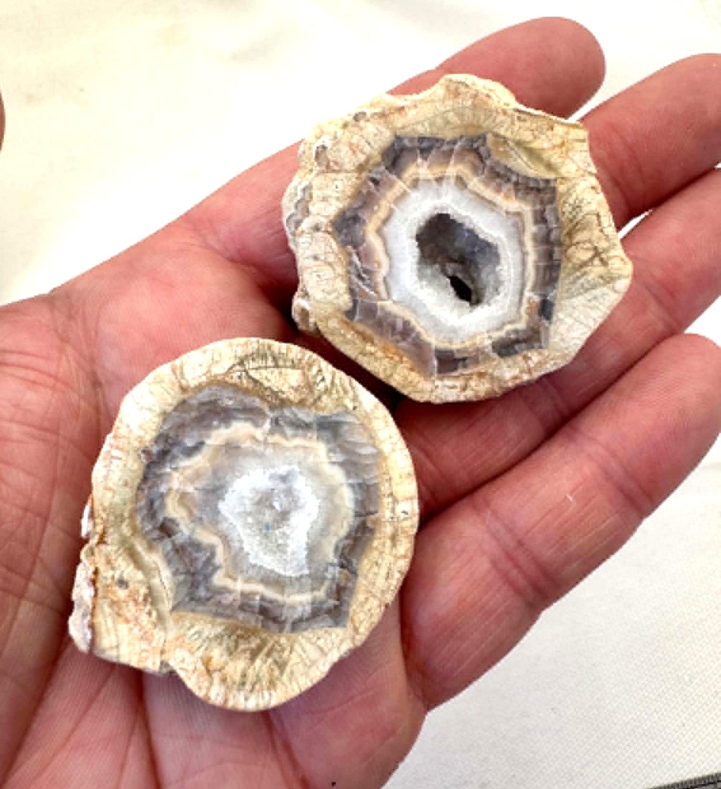 Natural Quartz Agate Chunk Mont Lyall Canada polished