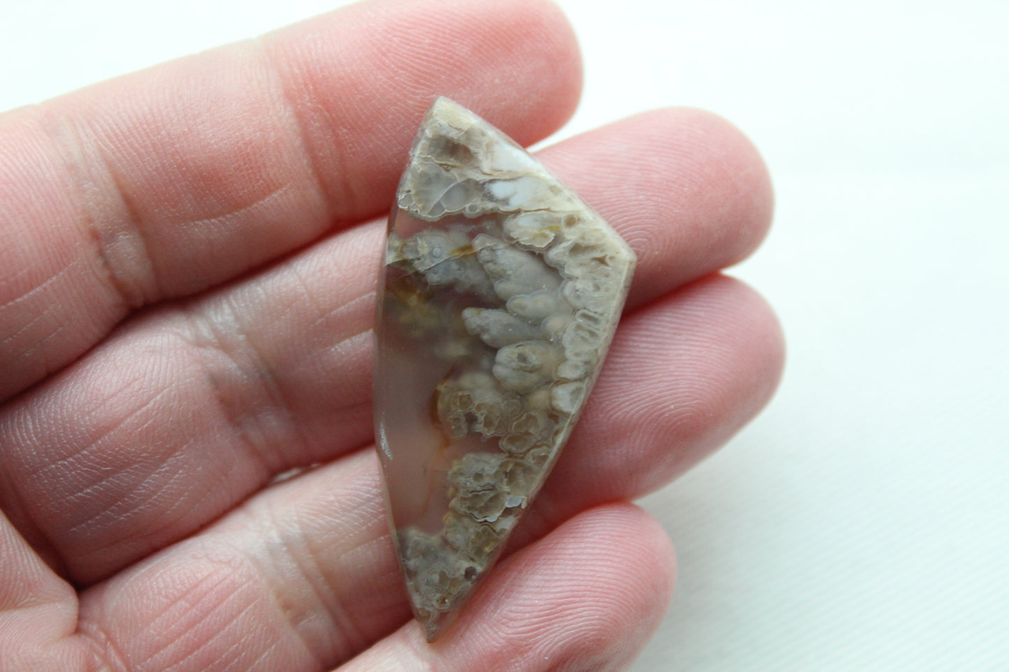 Pierre gemme de cabochon d'agate panache mexicaine