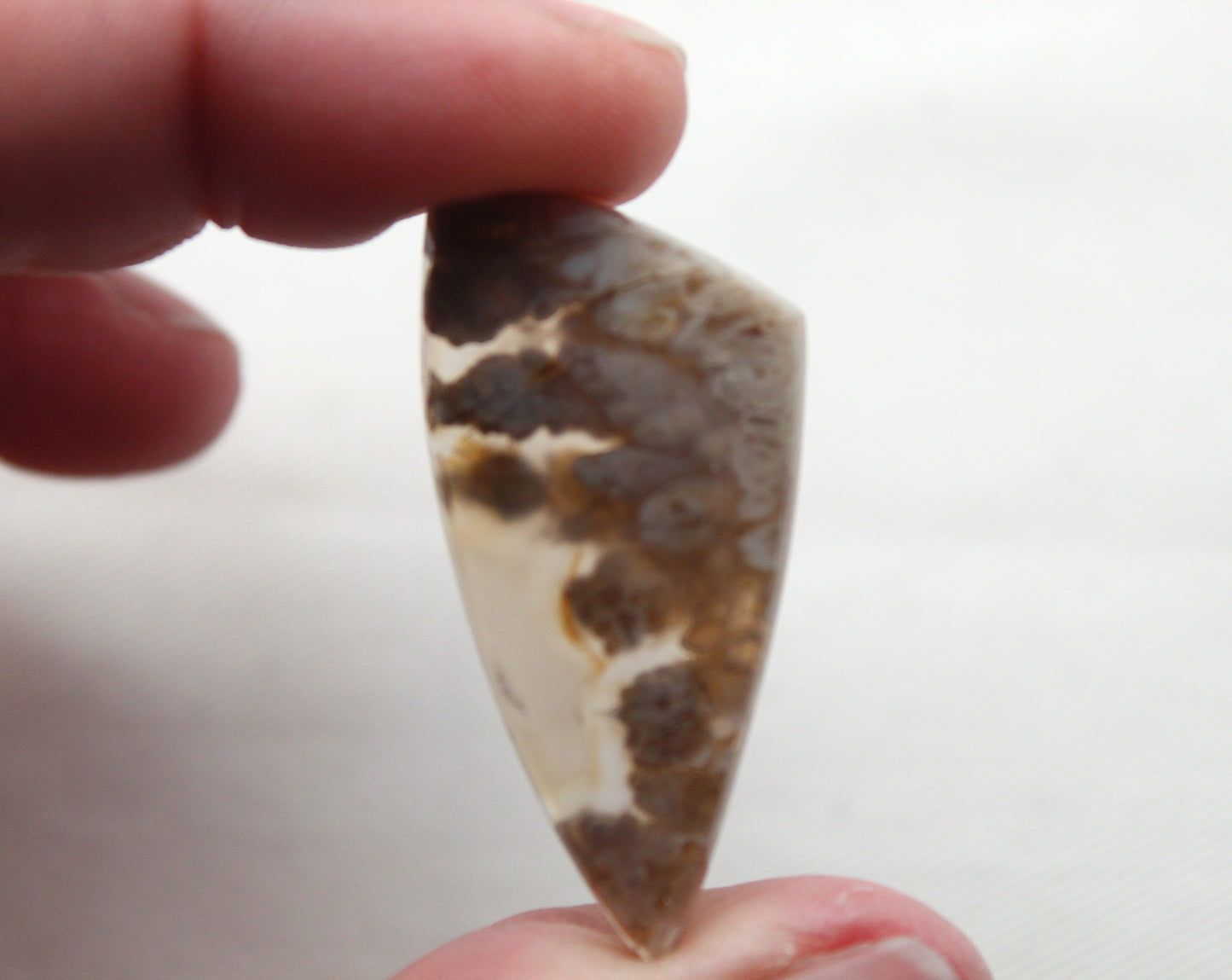 Pierre gemme de cabochon d'agate panache mexicaine