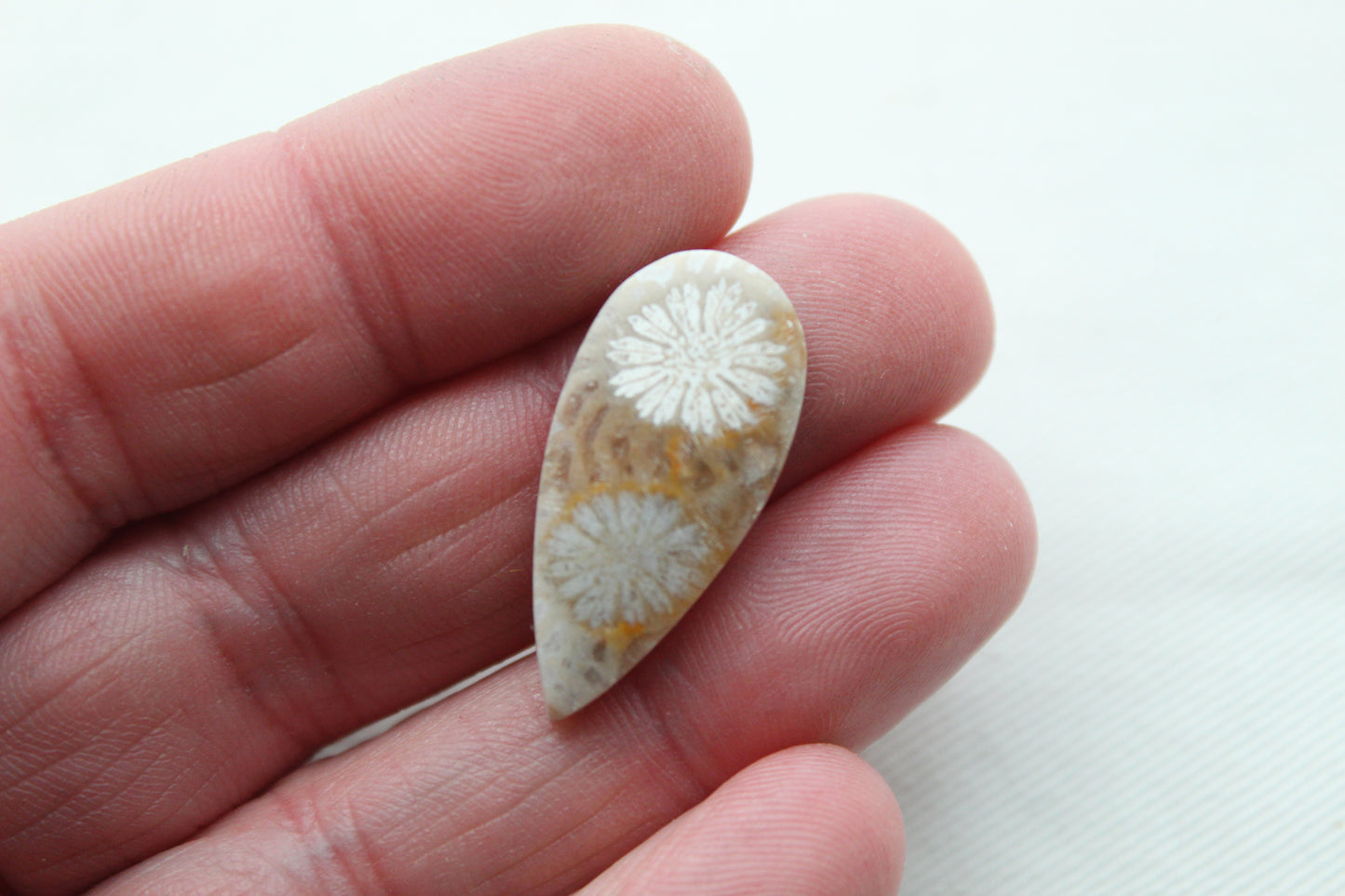Small Fossilized Coral Gemstone Teardrop cabochon