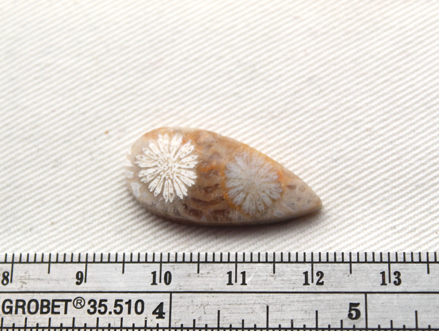 Small Fossilized Coral Gemstone Teardrop cabochon