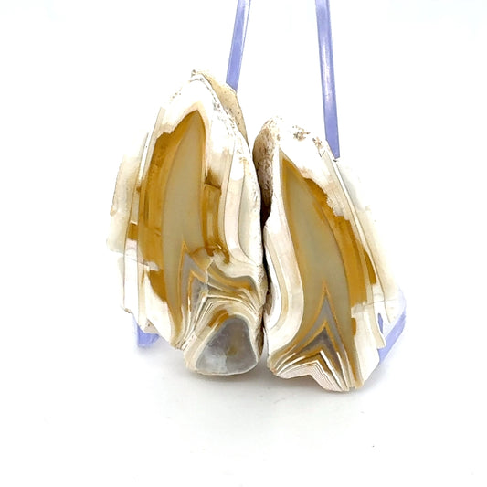 Small Indonesian banded Agate nodule polished yellow white