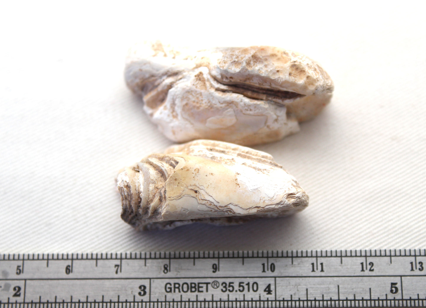 Small Indonesian banded Agate nodule polished yellow white