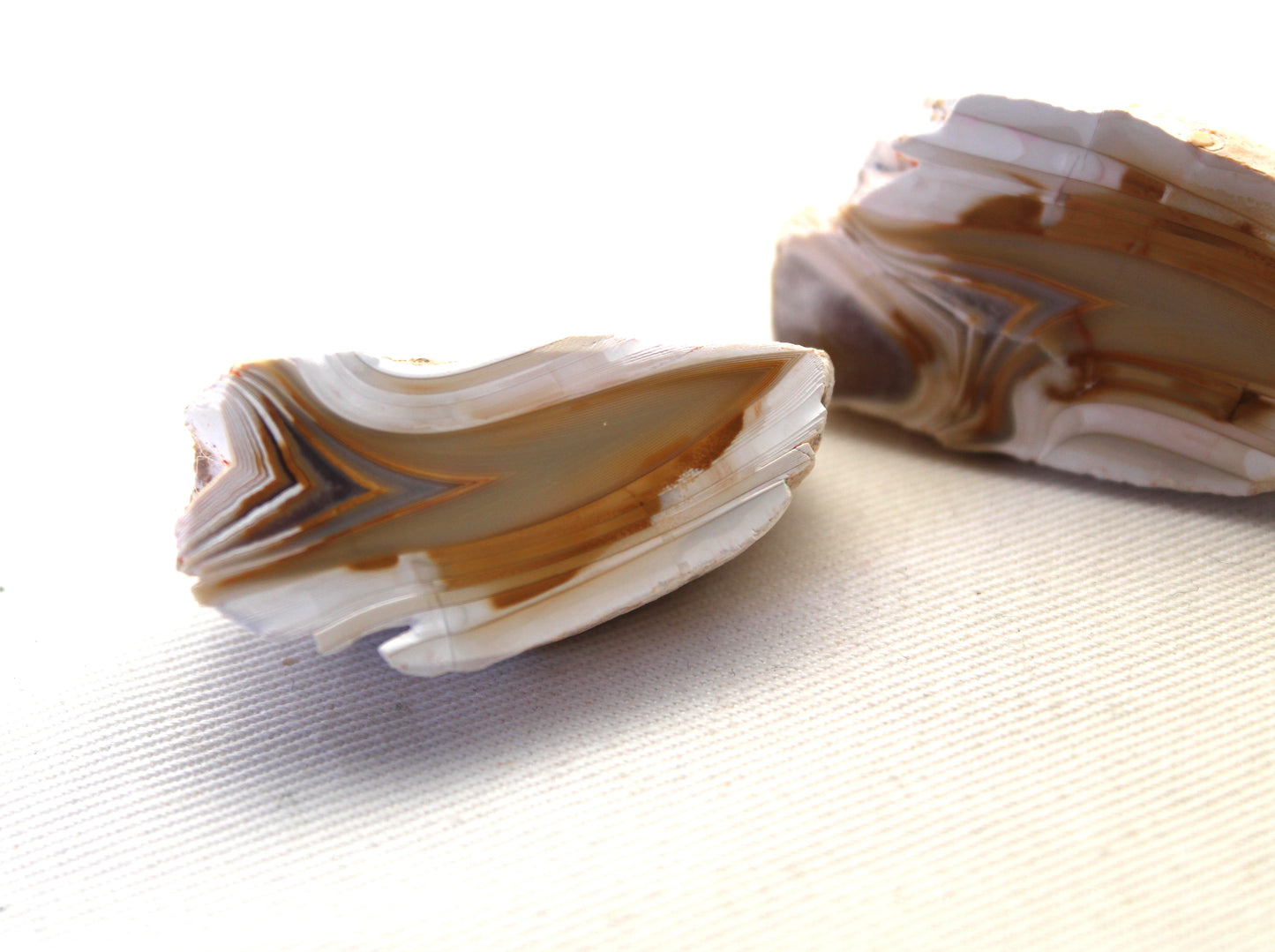 Small Indonesian banded Agate nodule polished yellow white