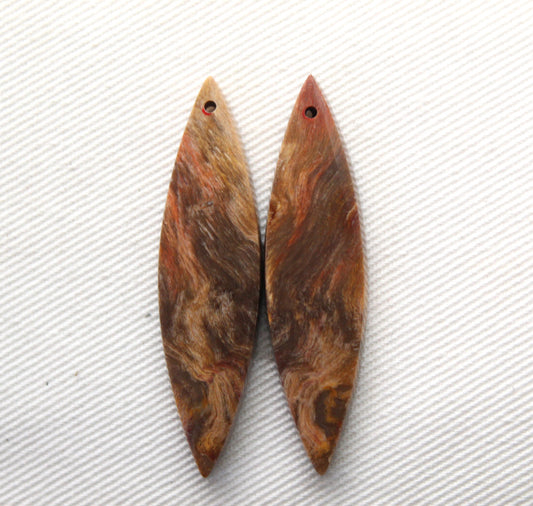 Jolie paire de cabochons en bois pétrifié
