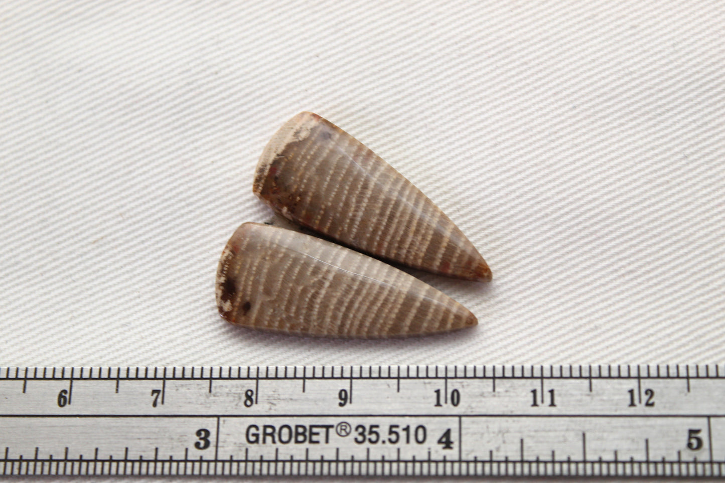 Pair of Petrified wood Cabochons triangle