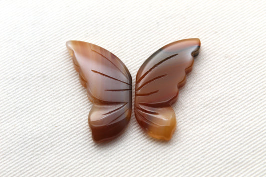 Montana Agate Cabochon Pair Gemstone Clear brown