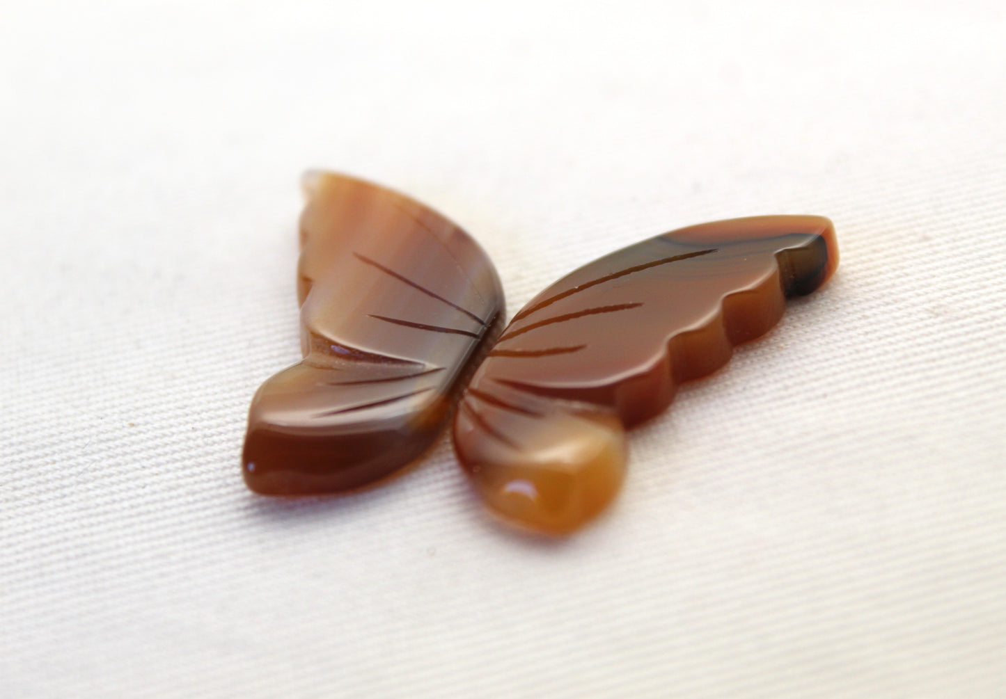 Montana Agate Cabochon Pair Gemstone Clear brown
