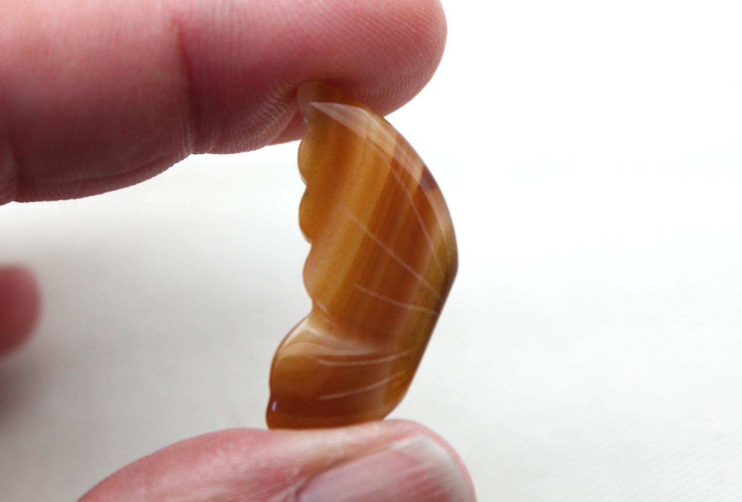 Montana Agate Cabochon Pair Gemstone Clear brown