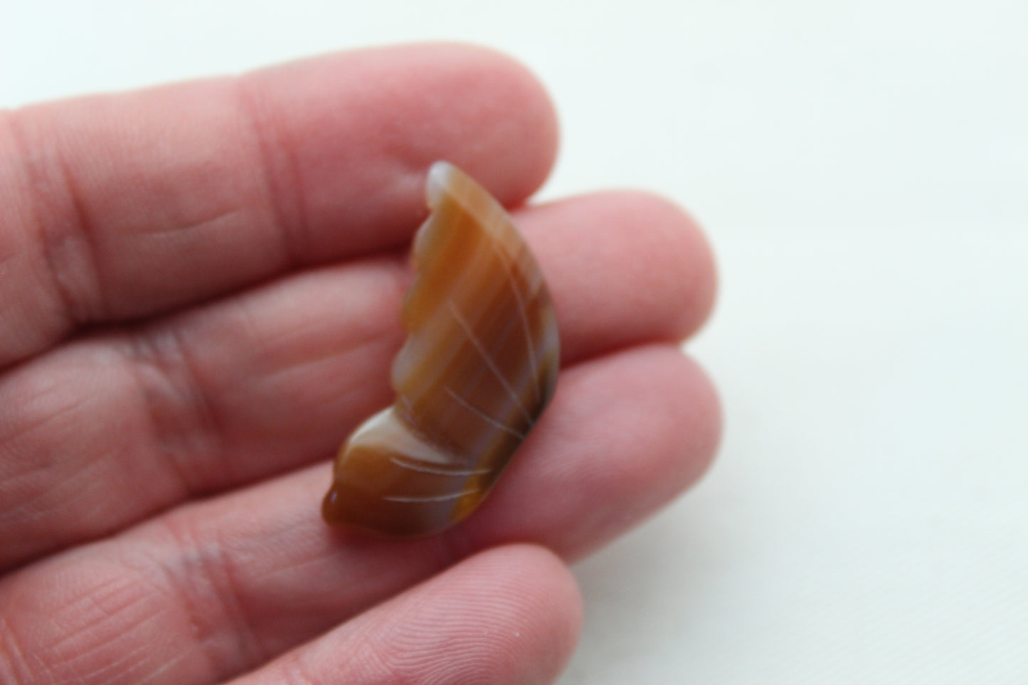 Montana Agate Cabochon Pair Gemstone Clear brown
