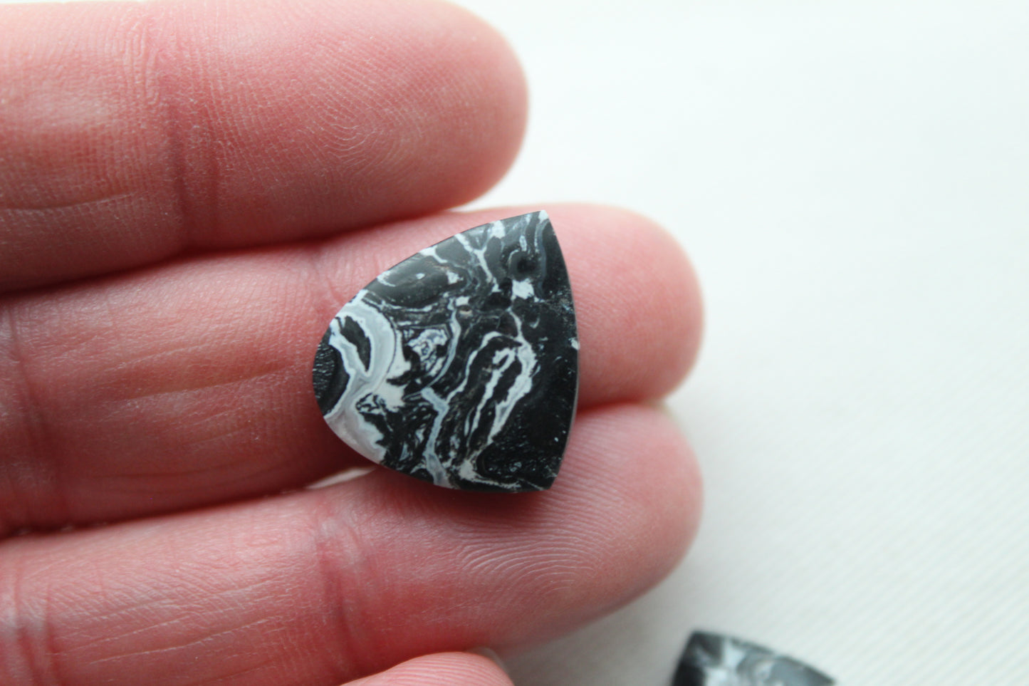 Black Palm Root Cabochon Pair natural gemstones