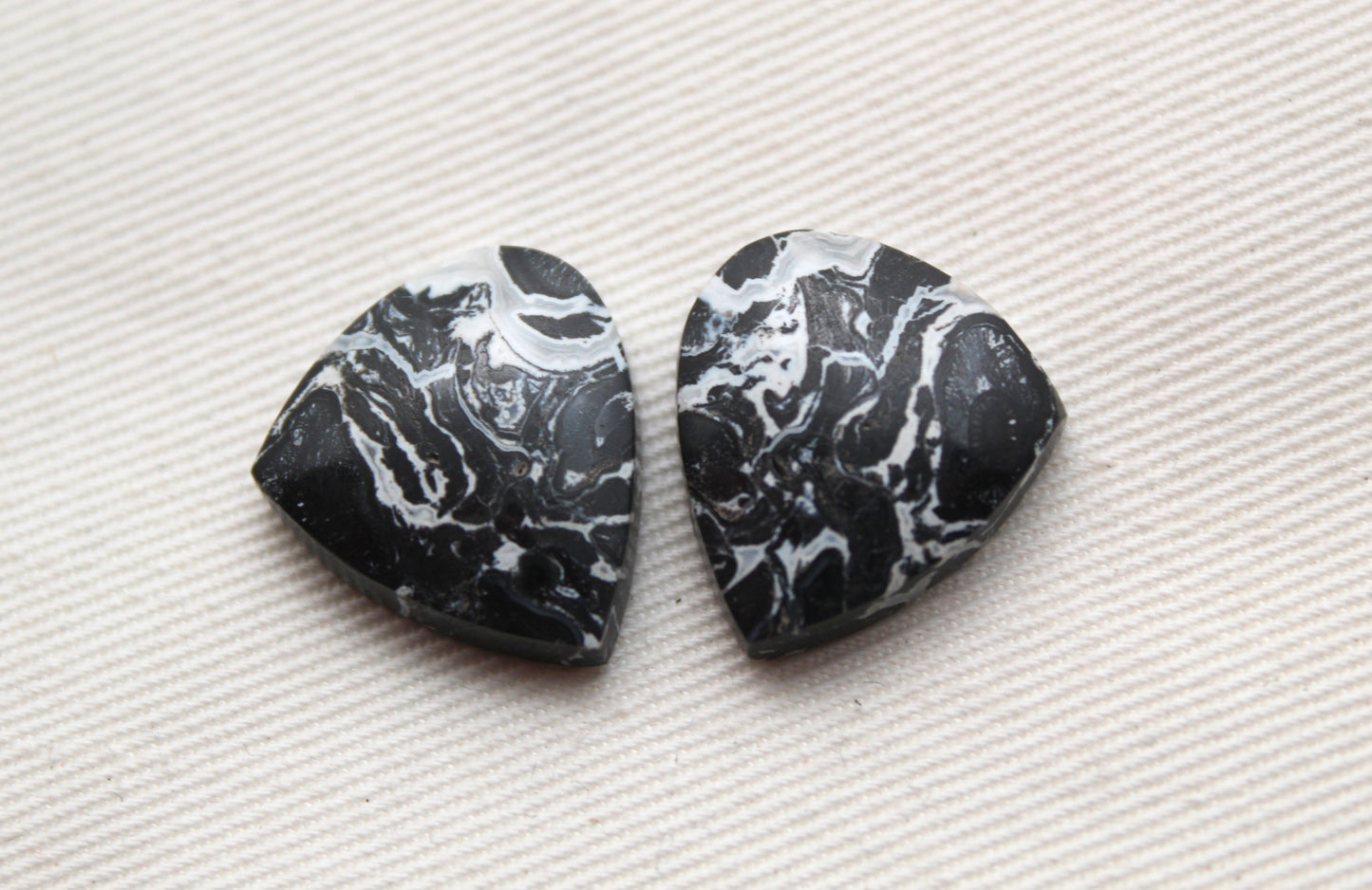 Black Palm Root Cabochon Pair natural gemstones