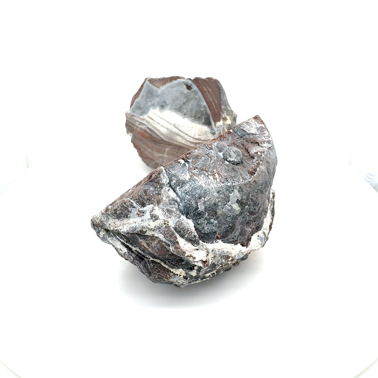 Thunderegg fluorescent Nodule polished Geode