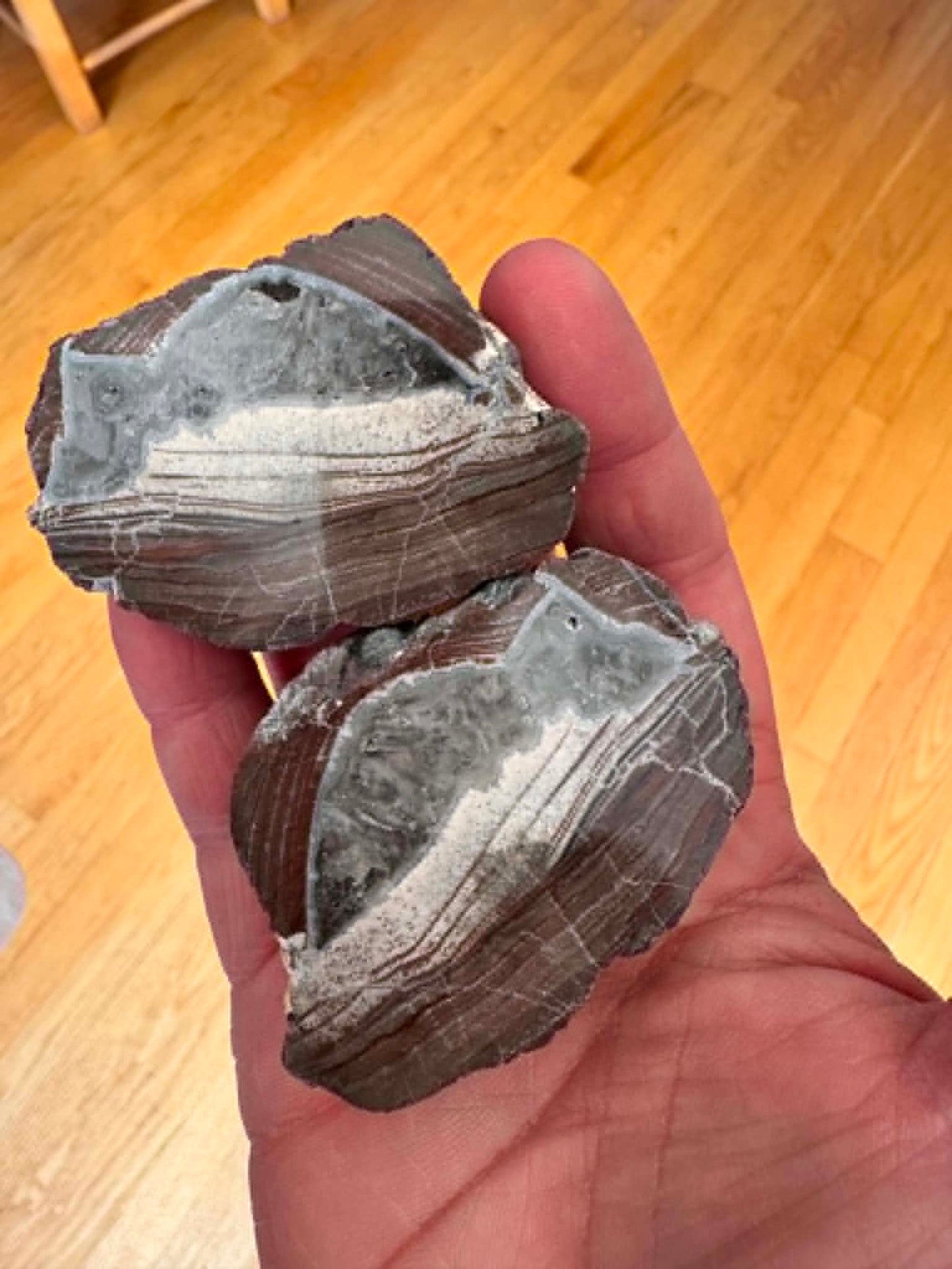 Thunderegg fluorescent Nodule polished Geode