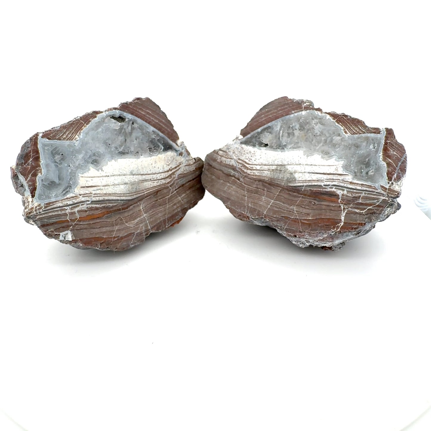 Thunderegg fluorescent Nodule polished Geode