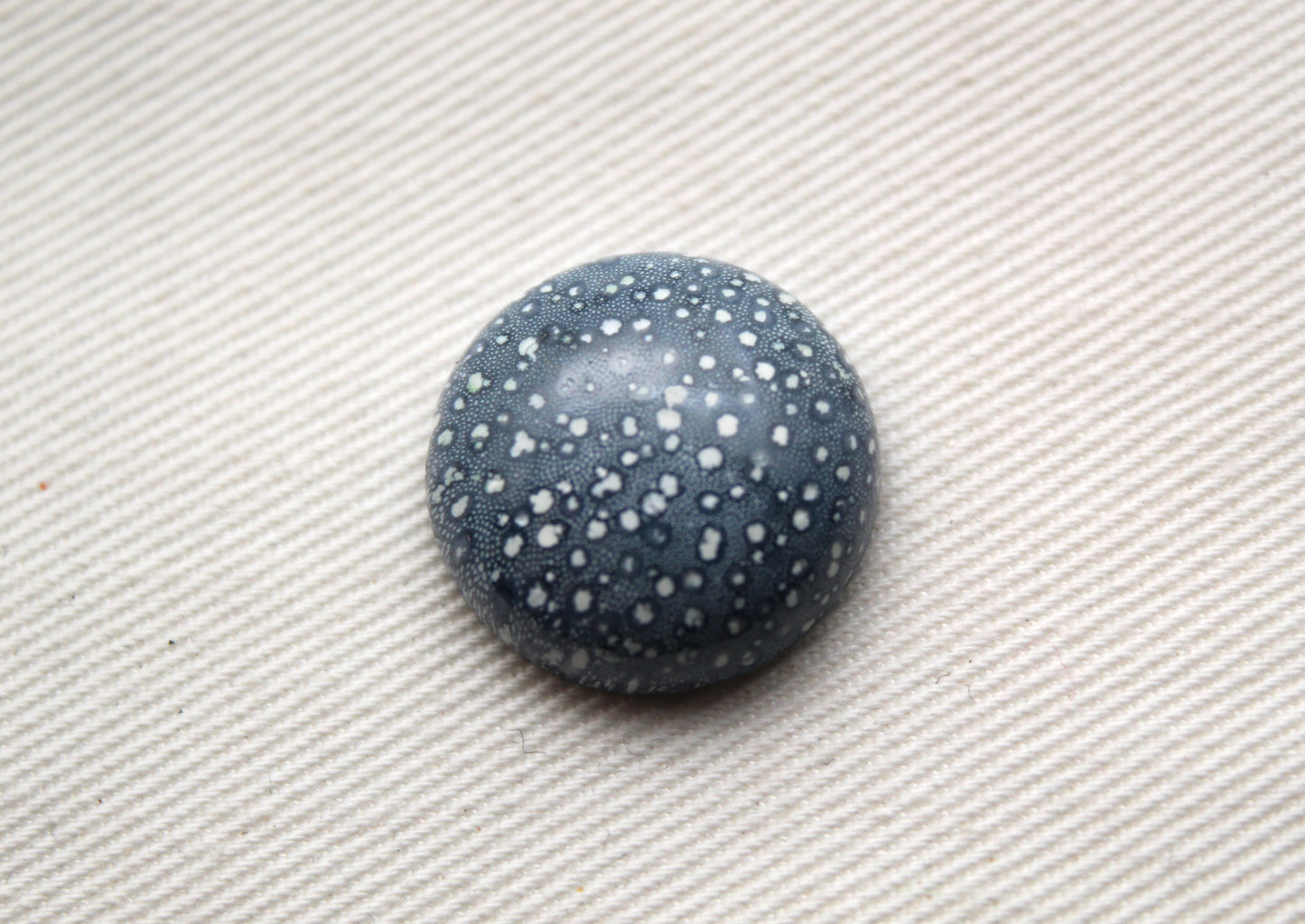 Pierre précieuse de corail éponge bleu 15X20MM ovale