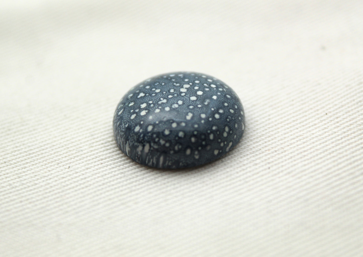 Pierre précieuse de corail éponge bleu 15X20MM ovale