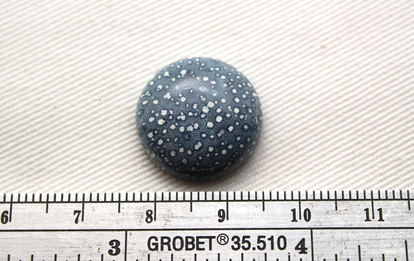 Pierre précieuse de corail éponge bleu 15X20MM ovale