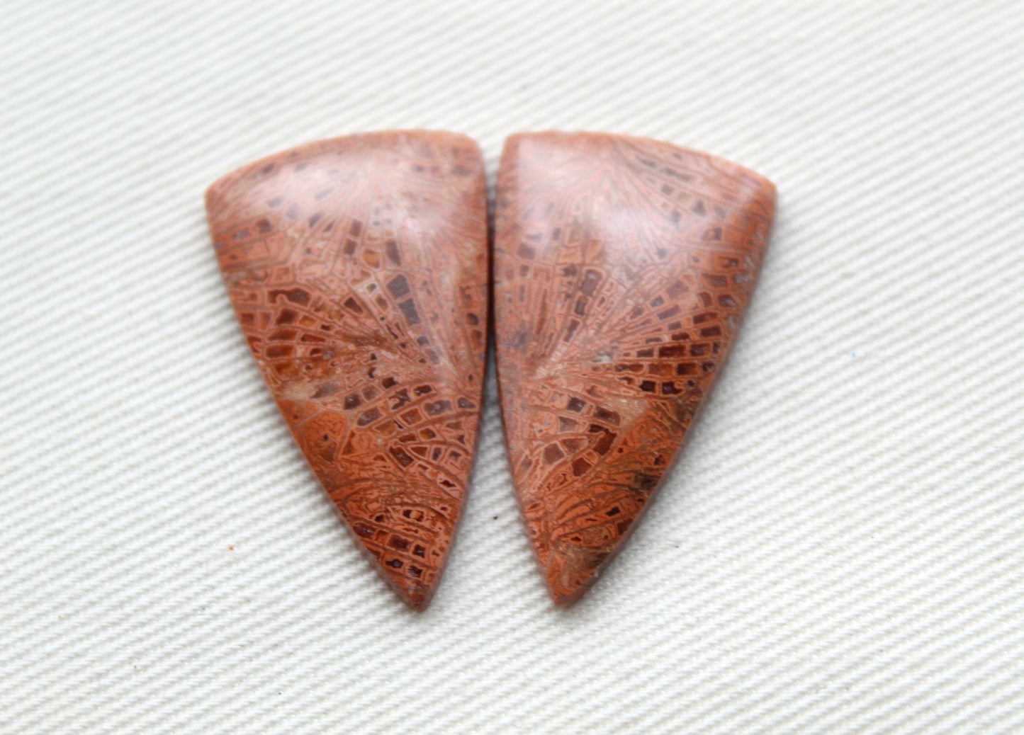 Pink Fossil Coral Pair of Gemstones cabochon triangle
