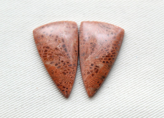 Pink Fossil Coral Pair of Gemstones cabochon triangle