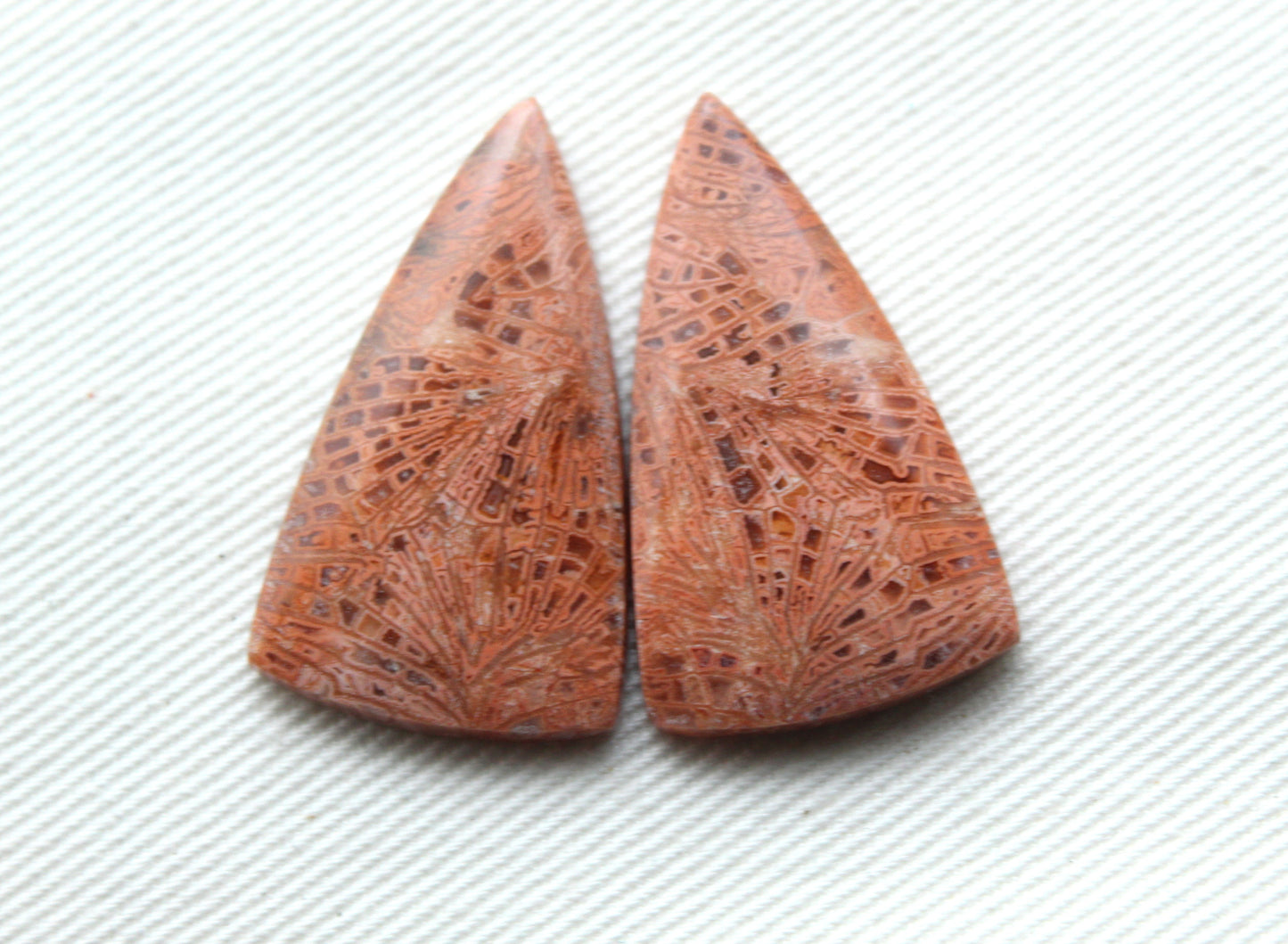 Pink Fossil Coral Pair of Gemstones cabochon triangle
