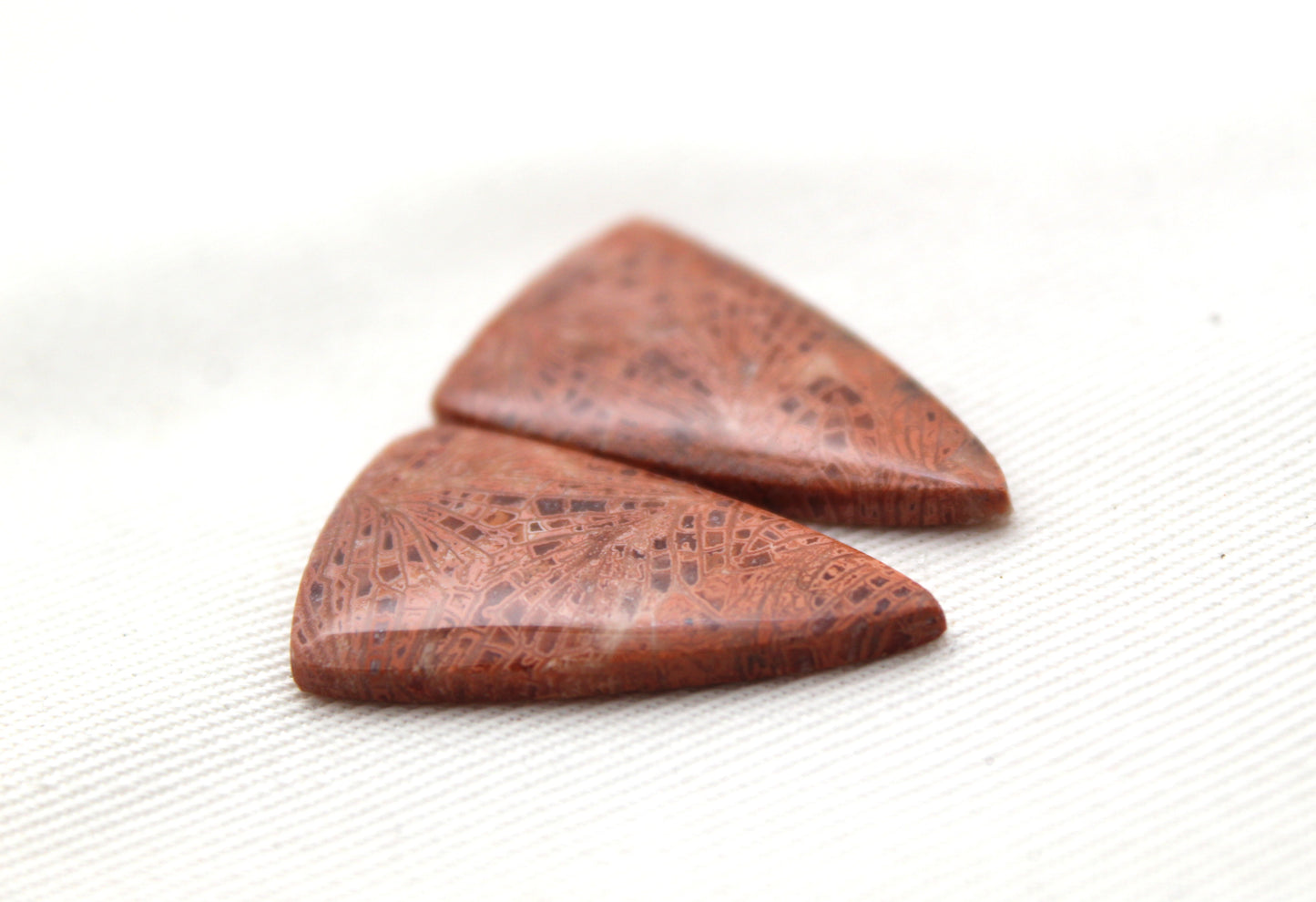 Pink Fossil Coral Pair of Gemstones cabochon triangle