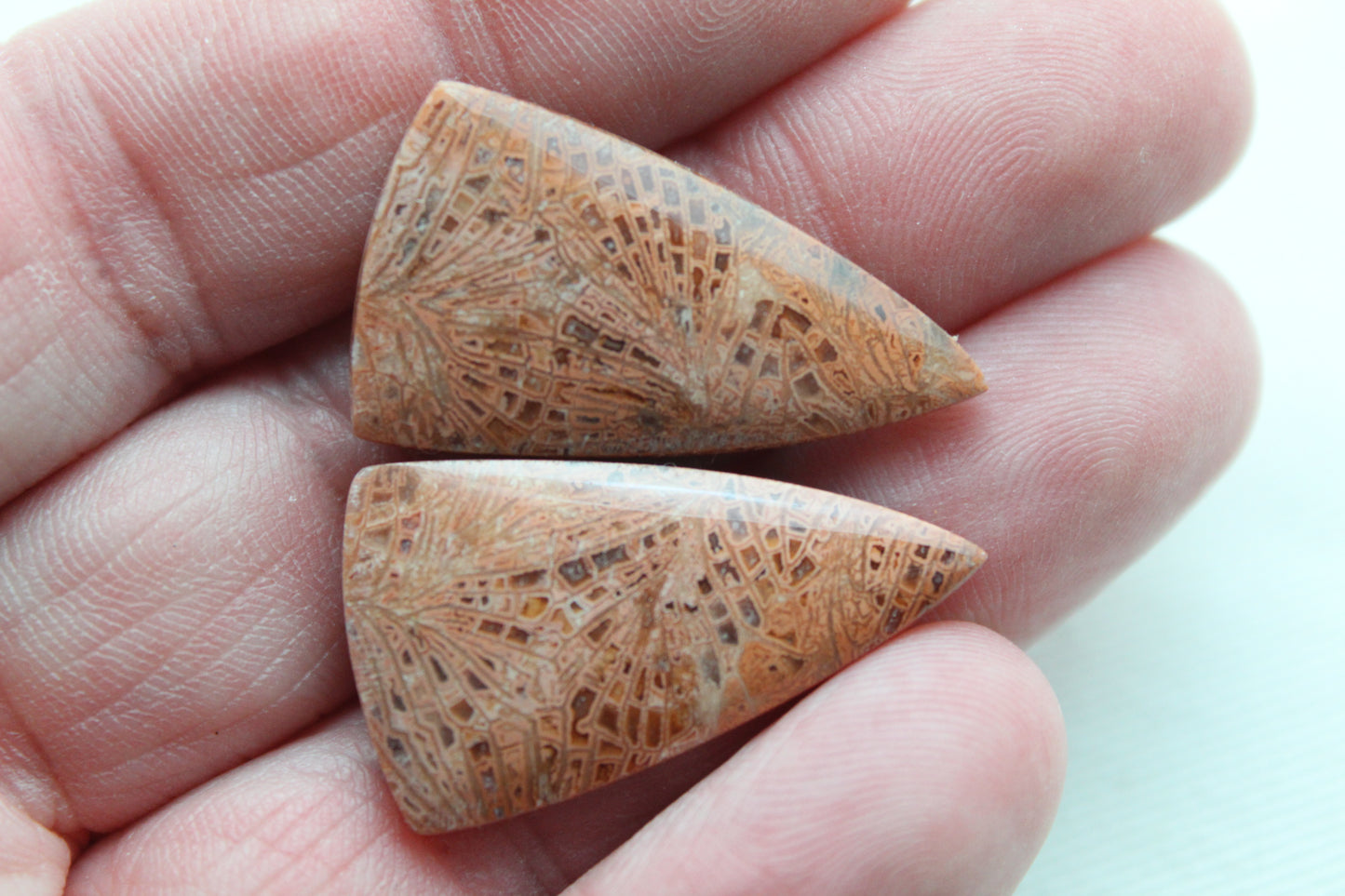 Pink Fossil Coral Pair of Gemstones cabochon triangle