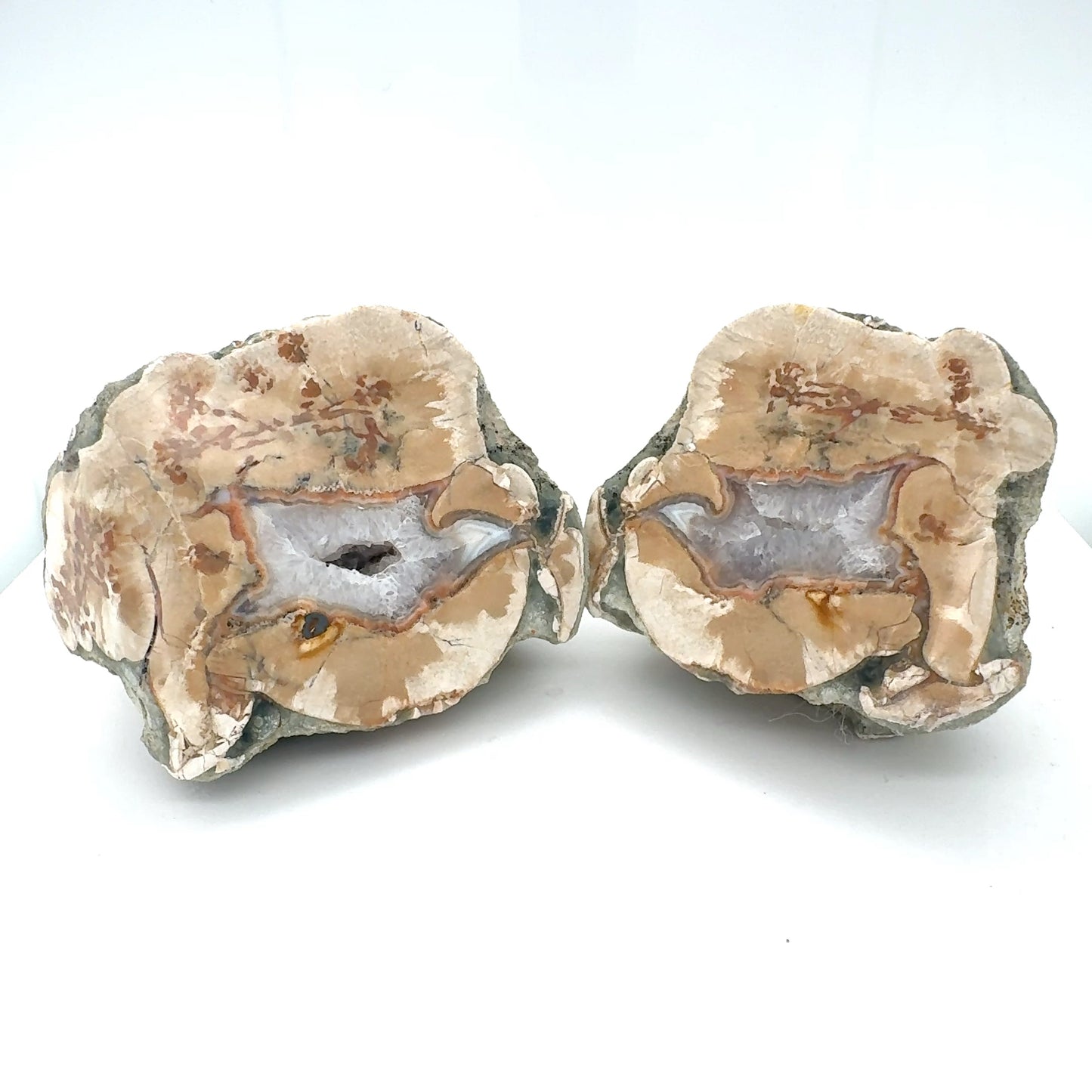 Natural Agate Nodule Mont Lyall Canada polished one face