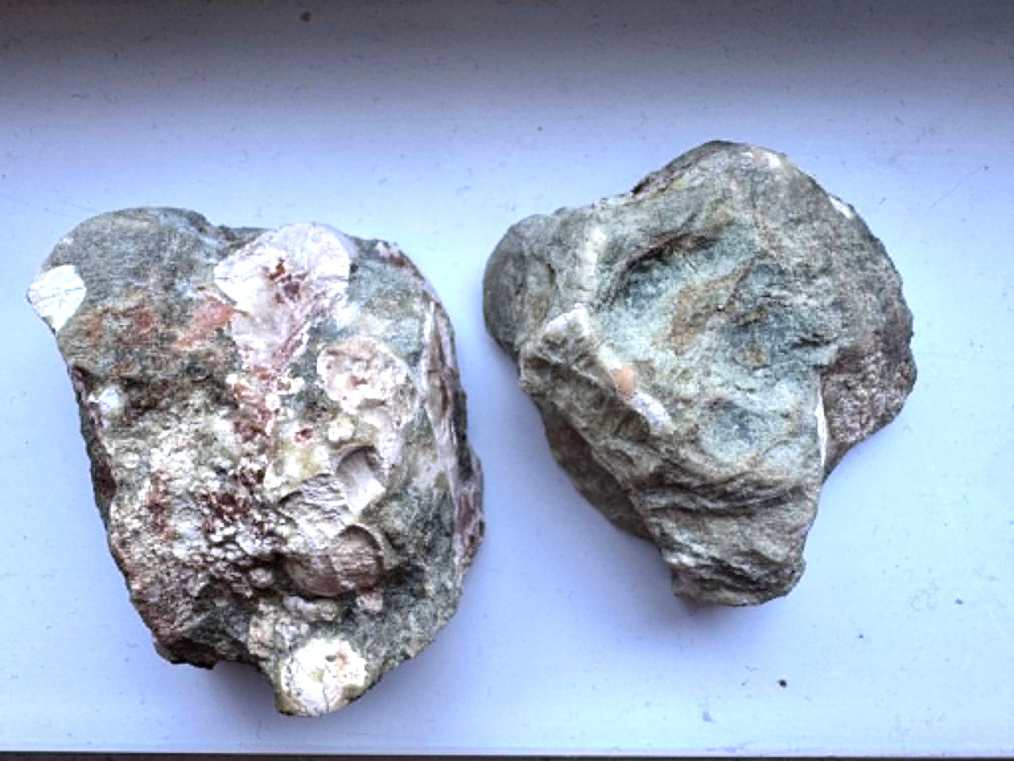 Natural Agate Nodule Mont Lyall Canada polished one face