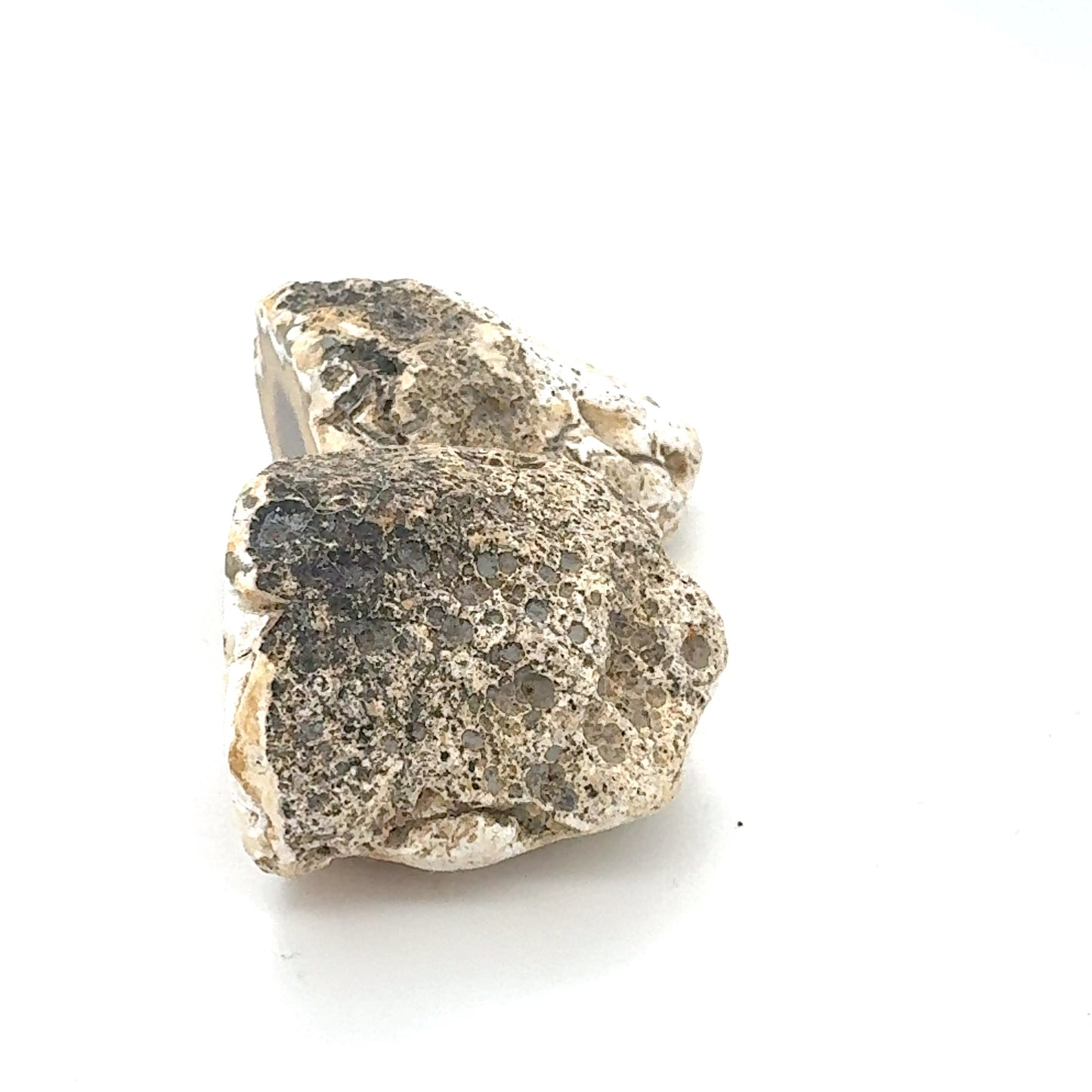 Small Indonesian banded Agate nodule polished yellow white