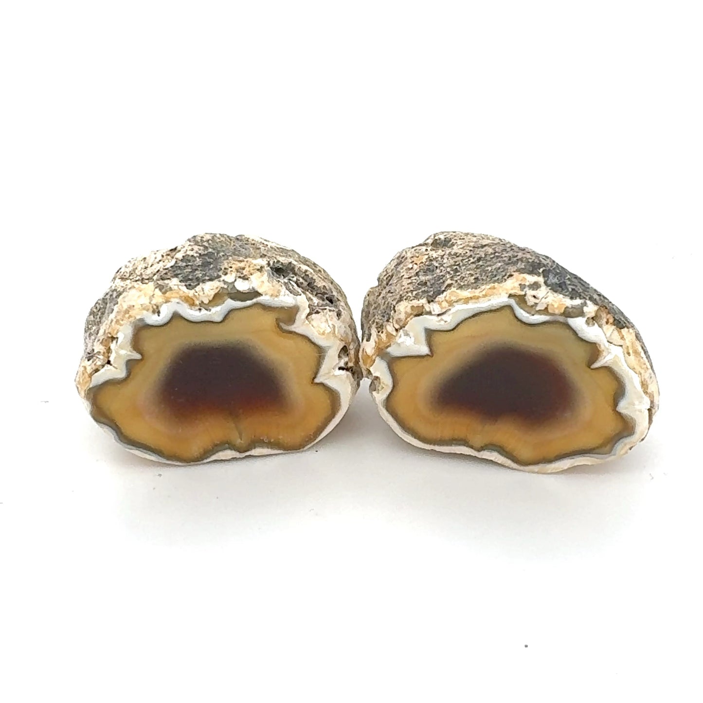 Small Indonesian banded Agate nodule polished yellow white