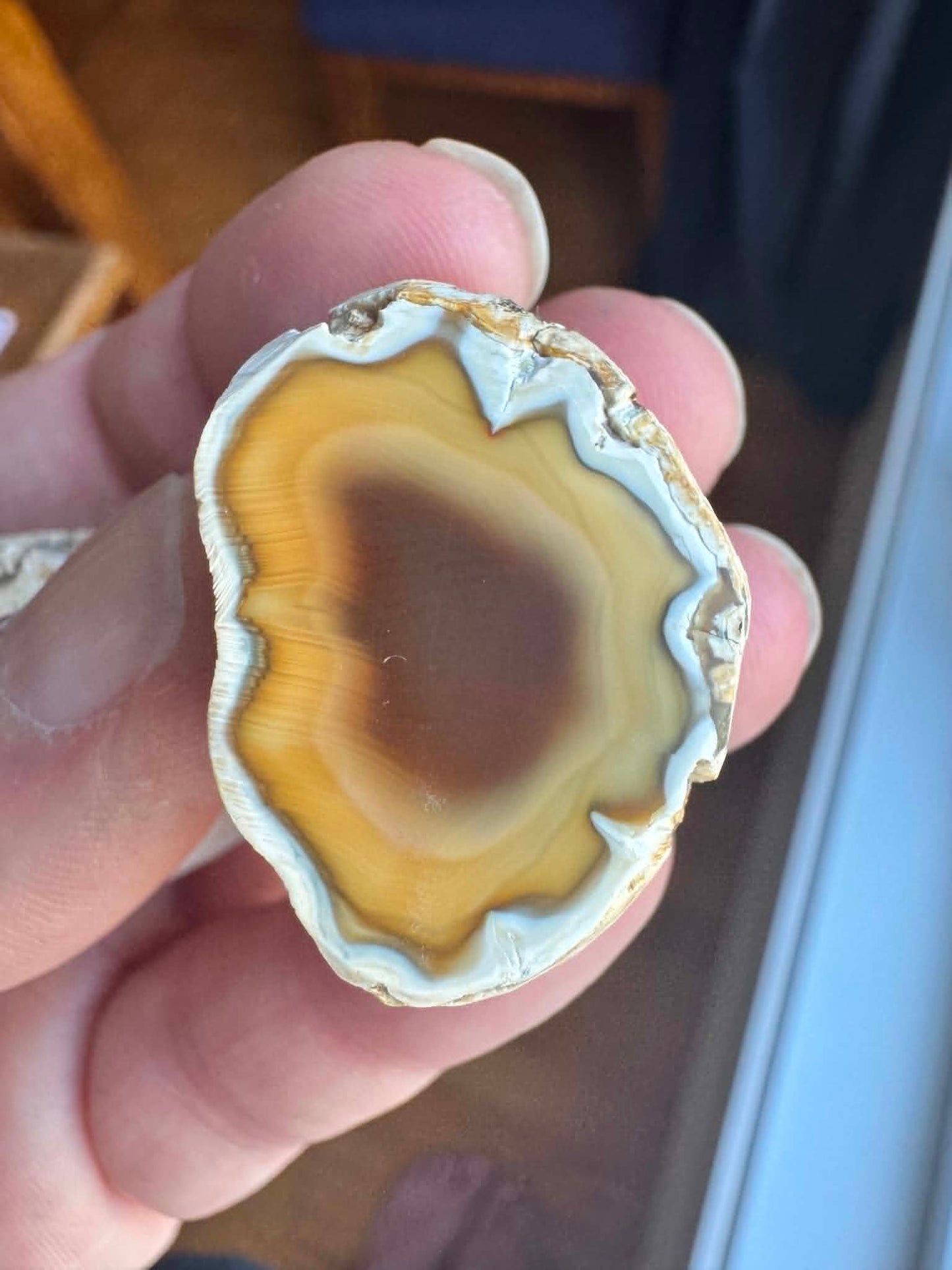 Small Indonesian banded Agate nodule polished yellow white