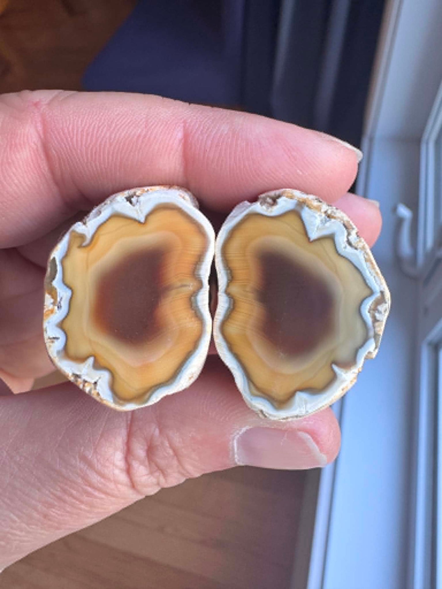 Small Indonesian banded Agate nodule polished yellow white