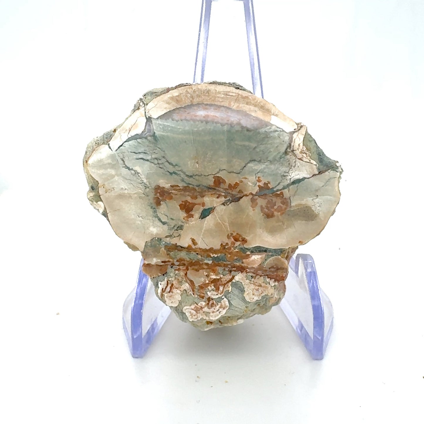 Natural Agate Mont Lyall Canada Half nodule