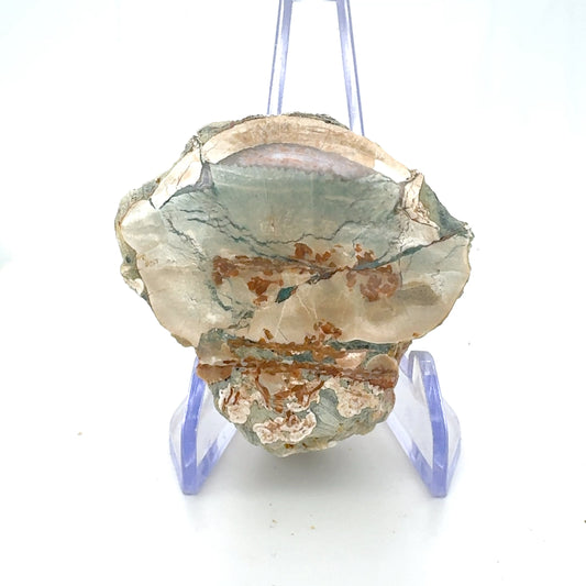 Natural Agate Mont Lyall Canada Half nodule