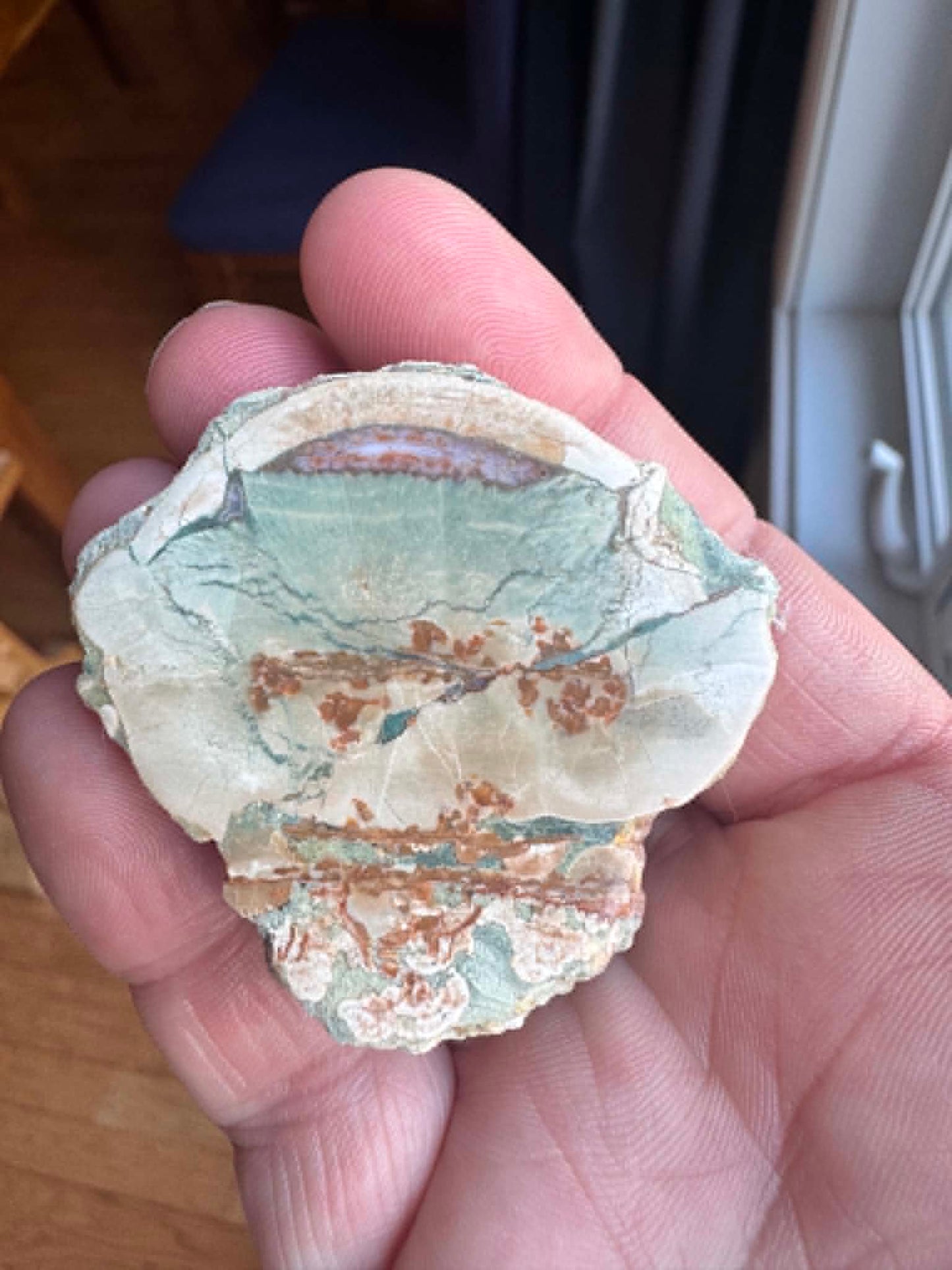 Natural Agate Mont Lyall Canada Half nodule