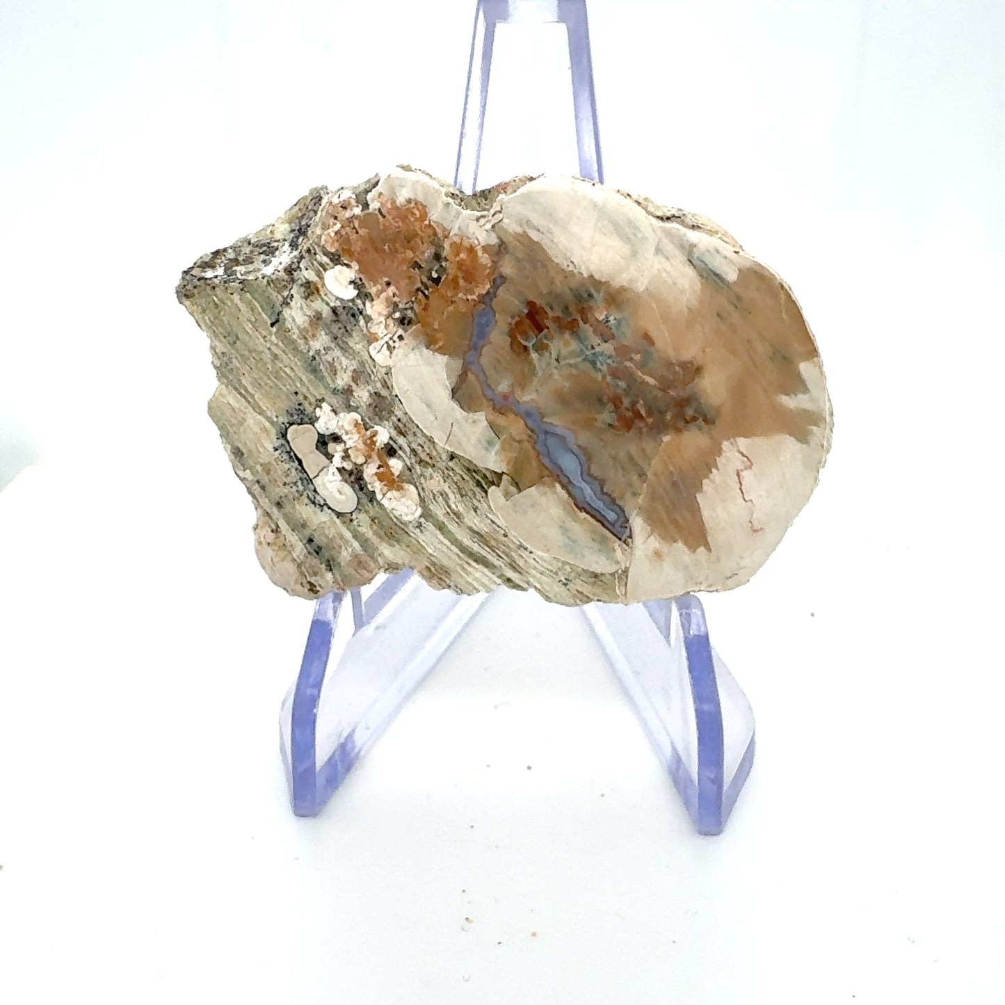 Natural Agate Mont Lyall Canada Half nodule