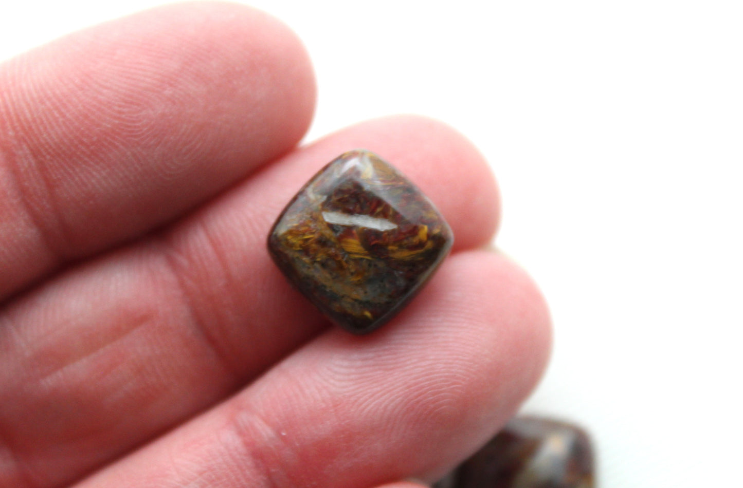 DEUX Pietersite Cabochon bouclier forme pierre précieuse naturelle