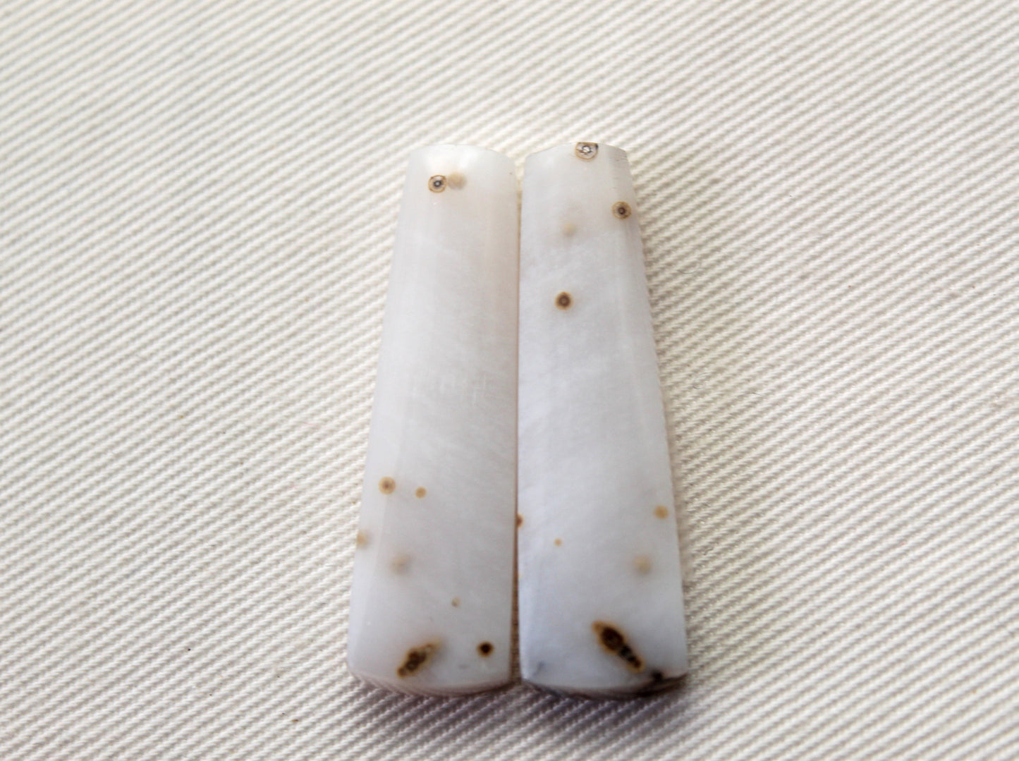Pair of Polka Dot Agate Cabochons Gemstones