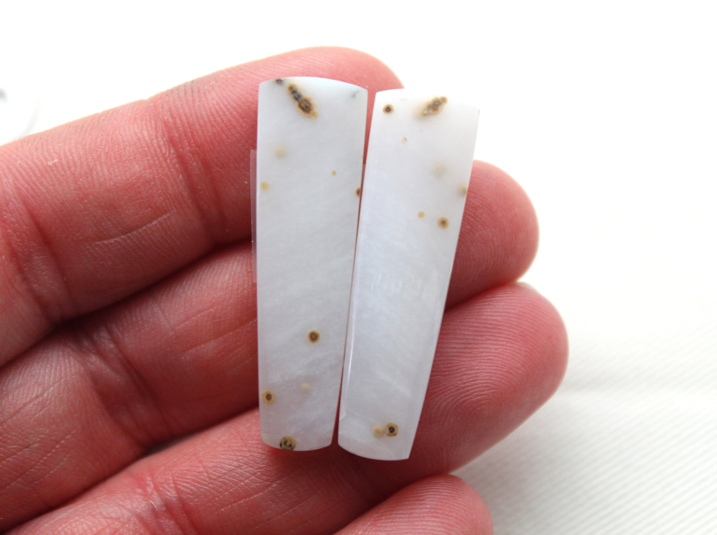 Pair of Polka Dot Agate Cabochons Gemstones