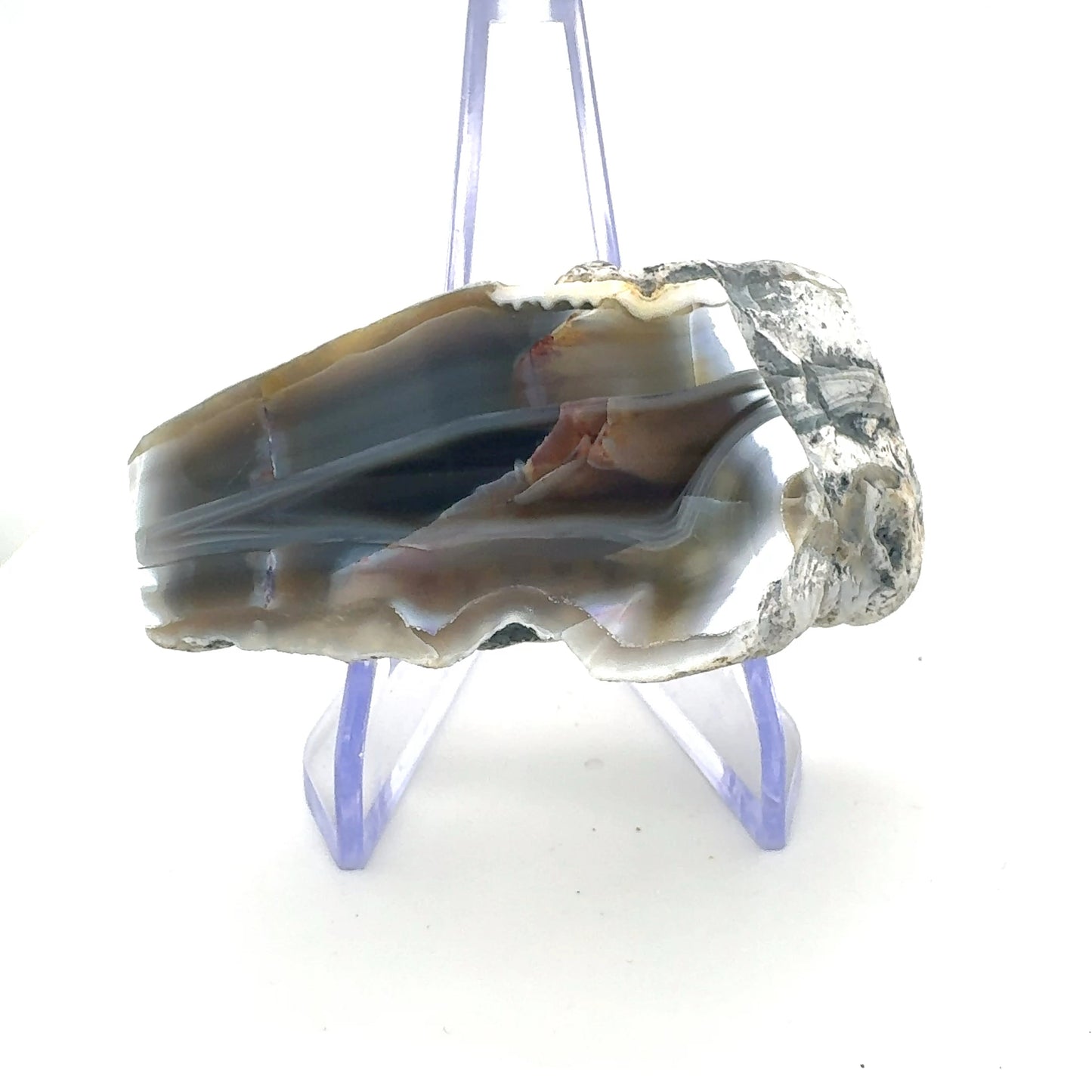 Indonesian banded Agate half nodule polished