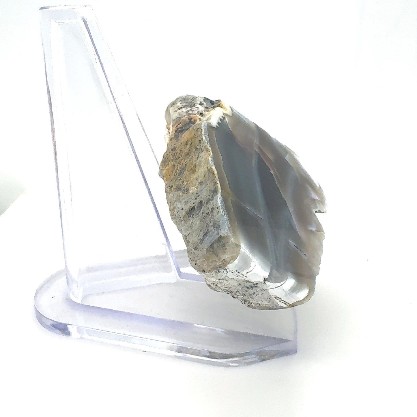 Indonesian banded Agate half nodule polished